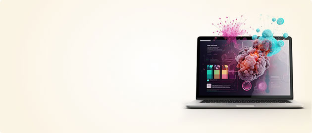 web site development cheap rate